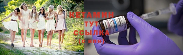 стаф Осташков