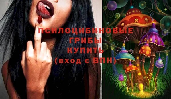 не бодяженный Няндома