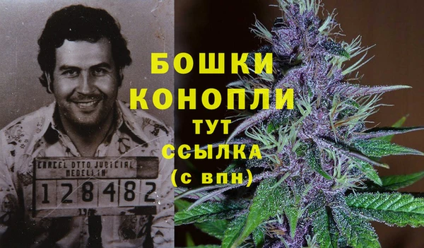 не бодяженный Няндома