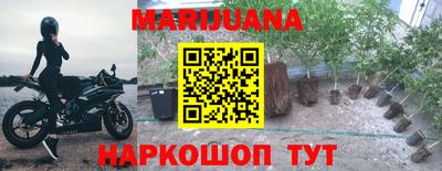 стаф Гагарин