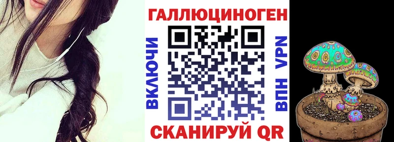 Галлюциногенные грибы GOLDEN TEACHER  продажа наркотиков  Новоалександровск 