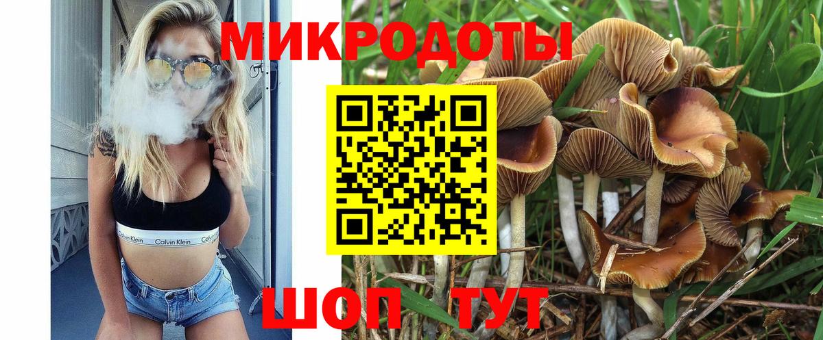 Псилоцибиновые грибы MAGIC MUSHROOMS  Псилоцибиновые грибы Psilocybe  Вход с VPN  Новоалександровск 