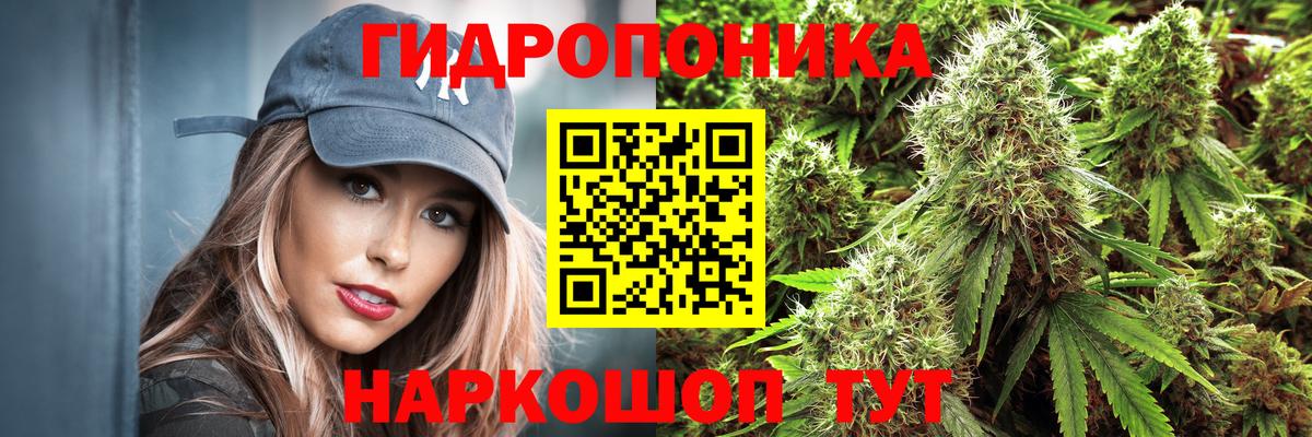 Конопля OG Kush  МАРИХУАНА конопля  Вход с VPN  Бошки Шишки OG Kush  Новоалександровск  Конопля LSD WEED 